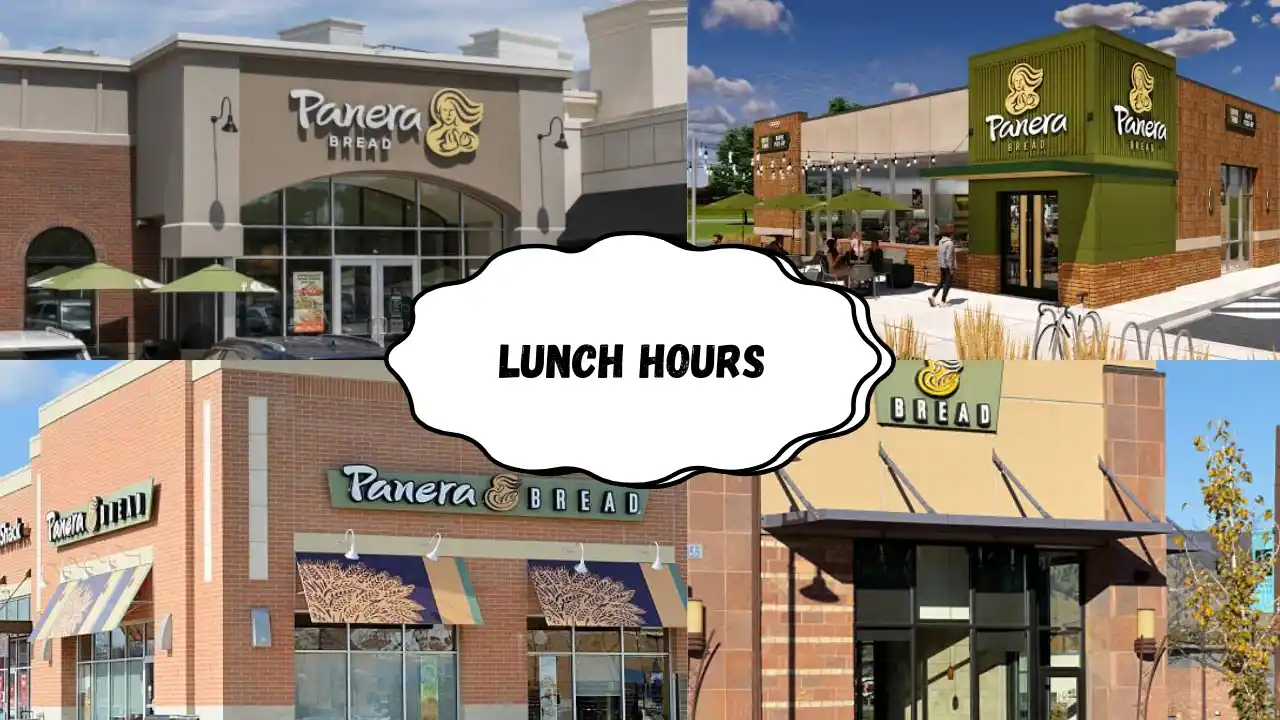 Panera Bread Lunch Hours